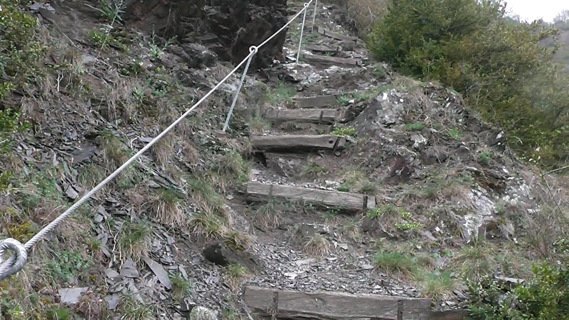 buchsbaum-wanderpfad5