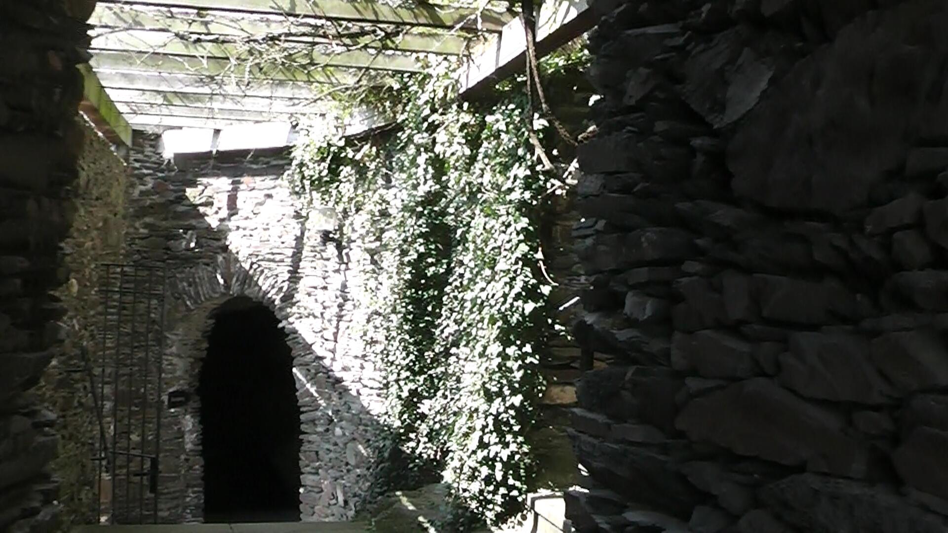 burg-pyrmont-5