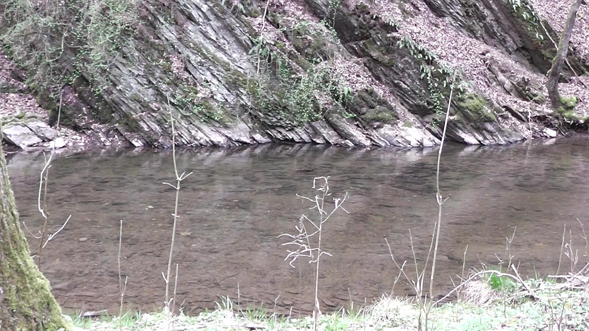 elzbach-2