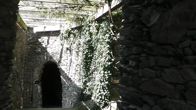 burg-pyrmont-5