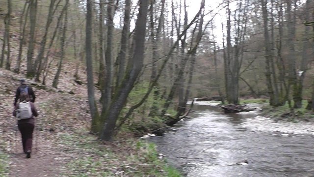 immer-am-elzbach-entlang