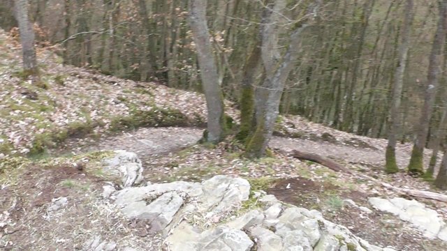 schoener-pfad