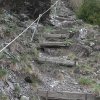 buchsbaum-wanderpfad5