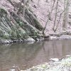 elzbach-3