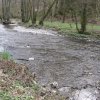 img_2540