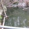 img_2552