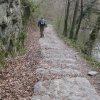 img_2556