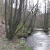 immer-am-elzbach-entlang