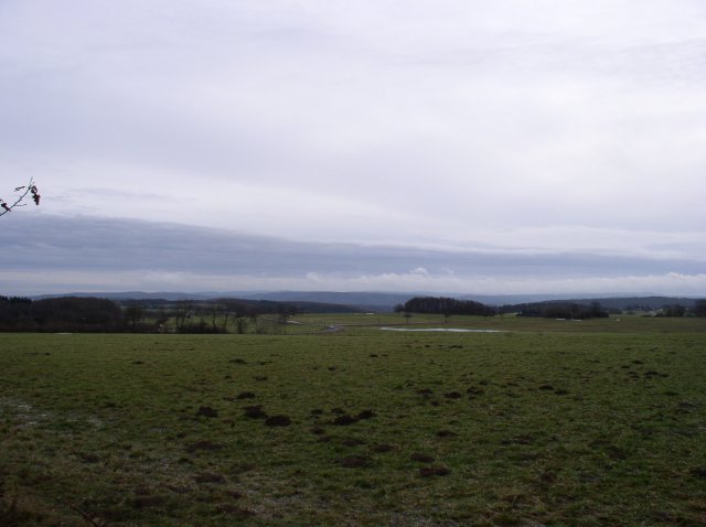 p1010081