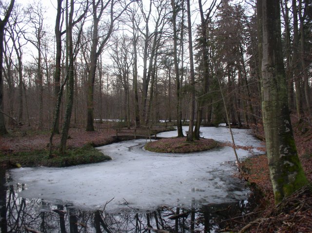 p1010096