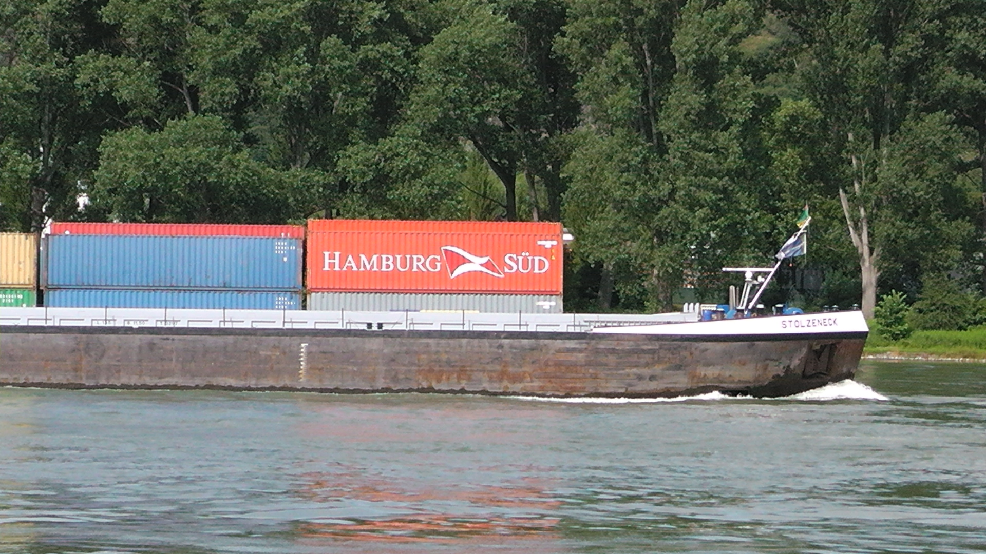 s1000036