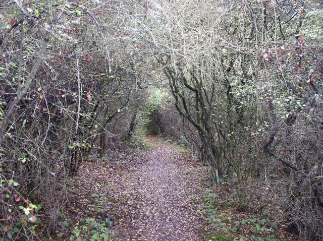 p1010085