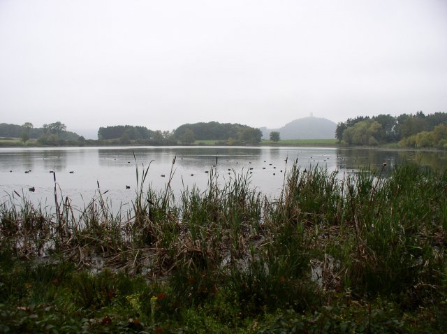 p1010099