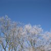 img_1110
