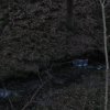 img_1117