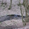 img_1118