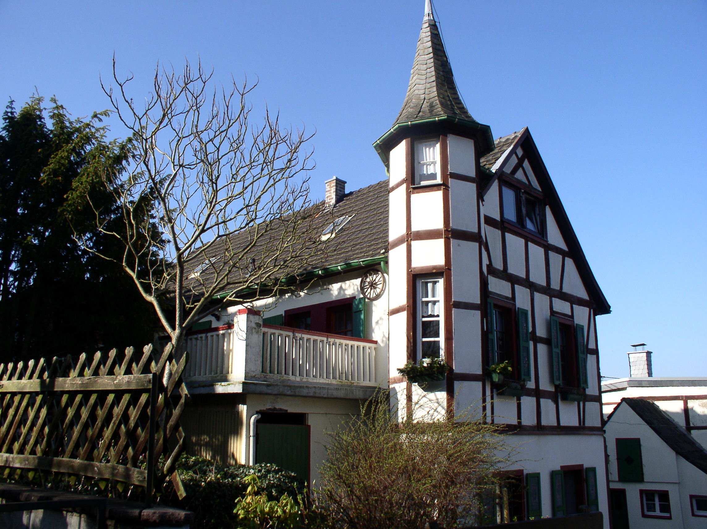 P1010003