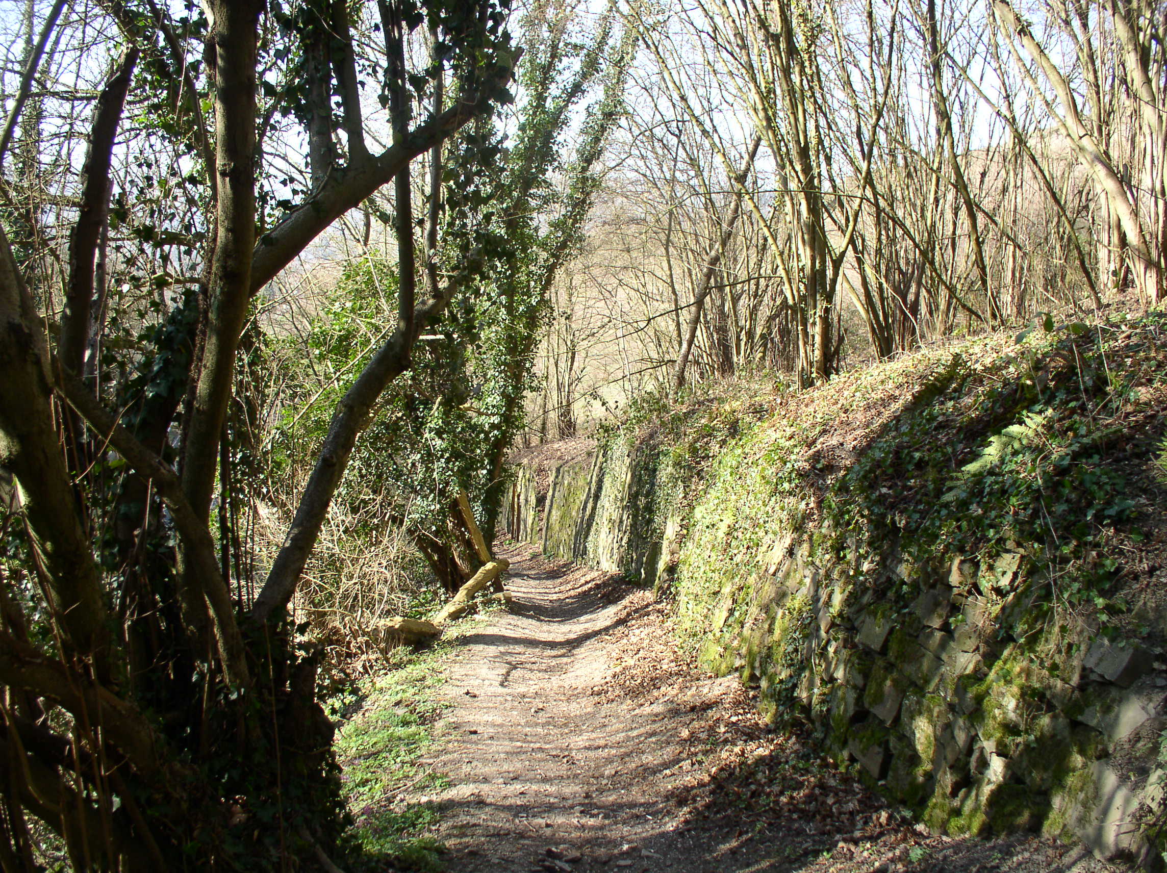 P1010008