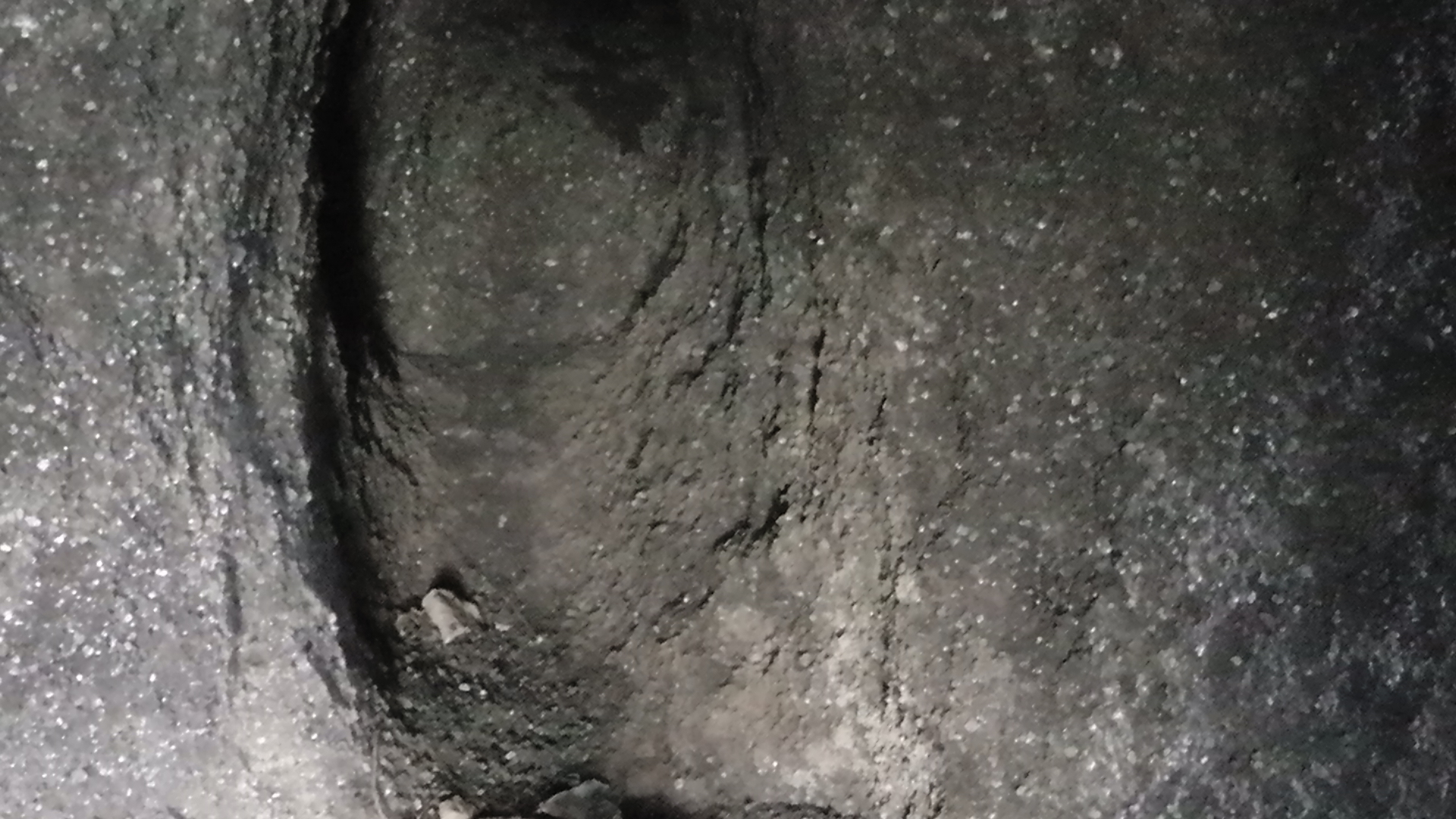 s1010078
