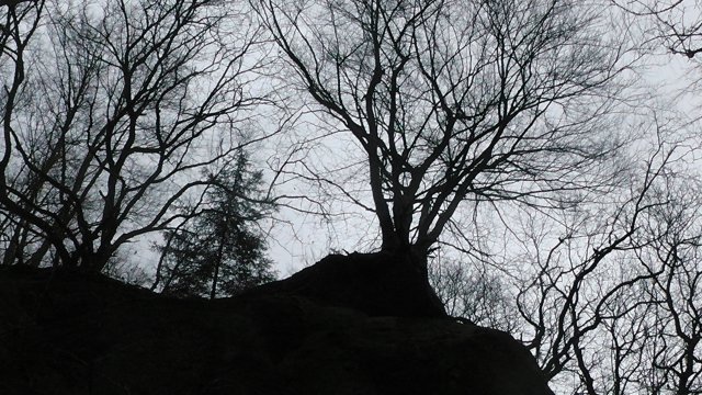 s1010023