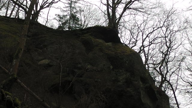 s1010029