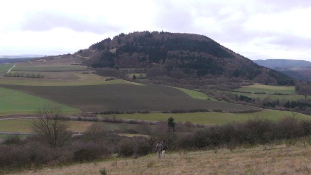 s1010088