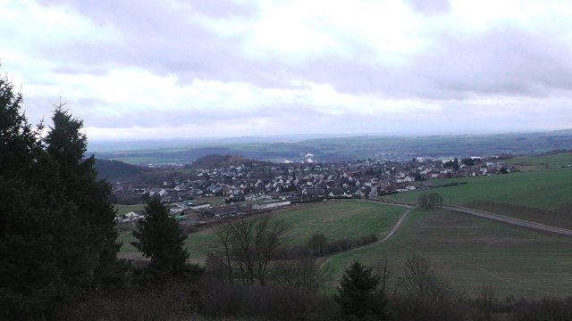 s1010091