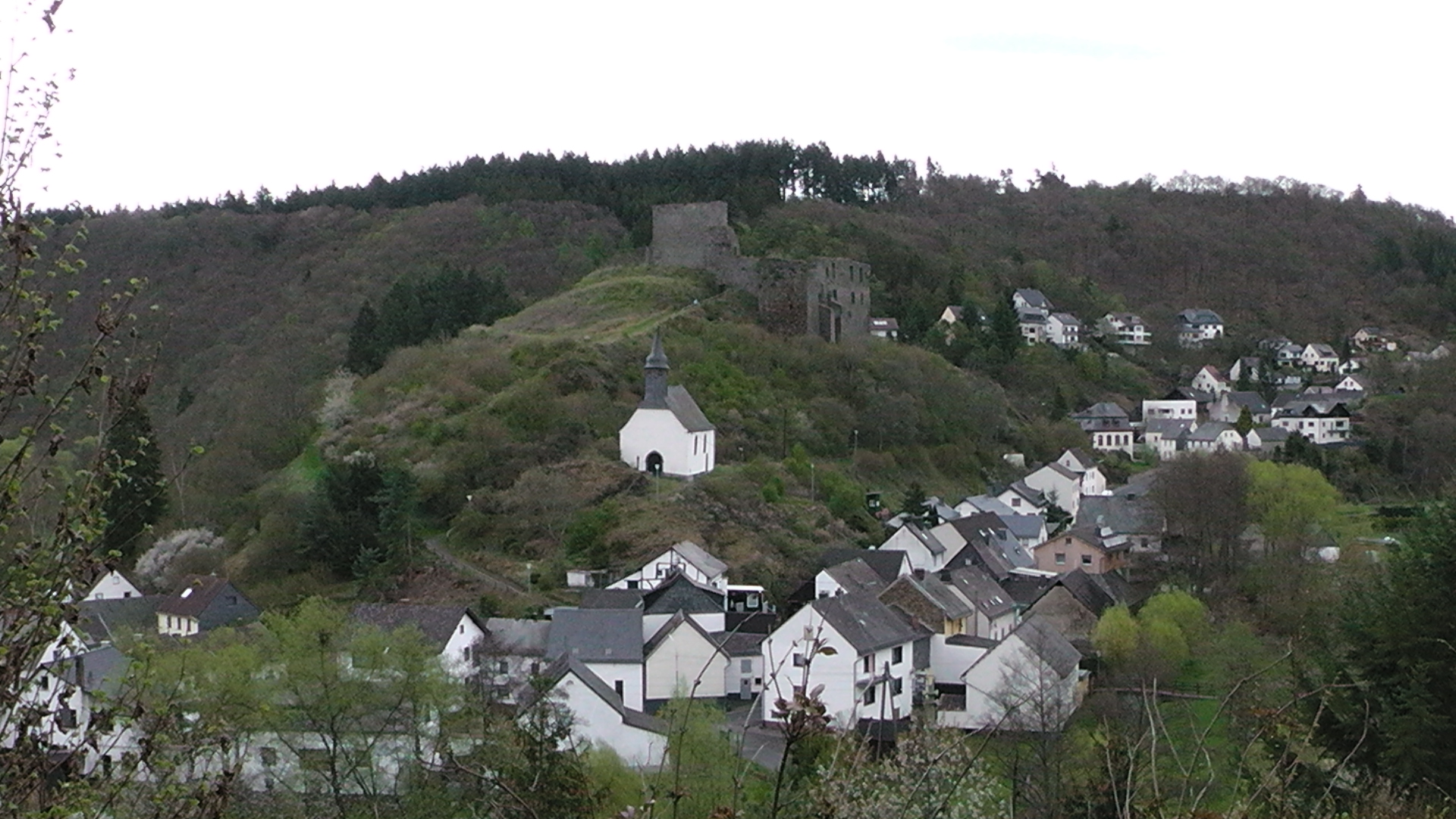 102-blick-auf-die-ruine-virneburg