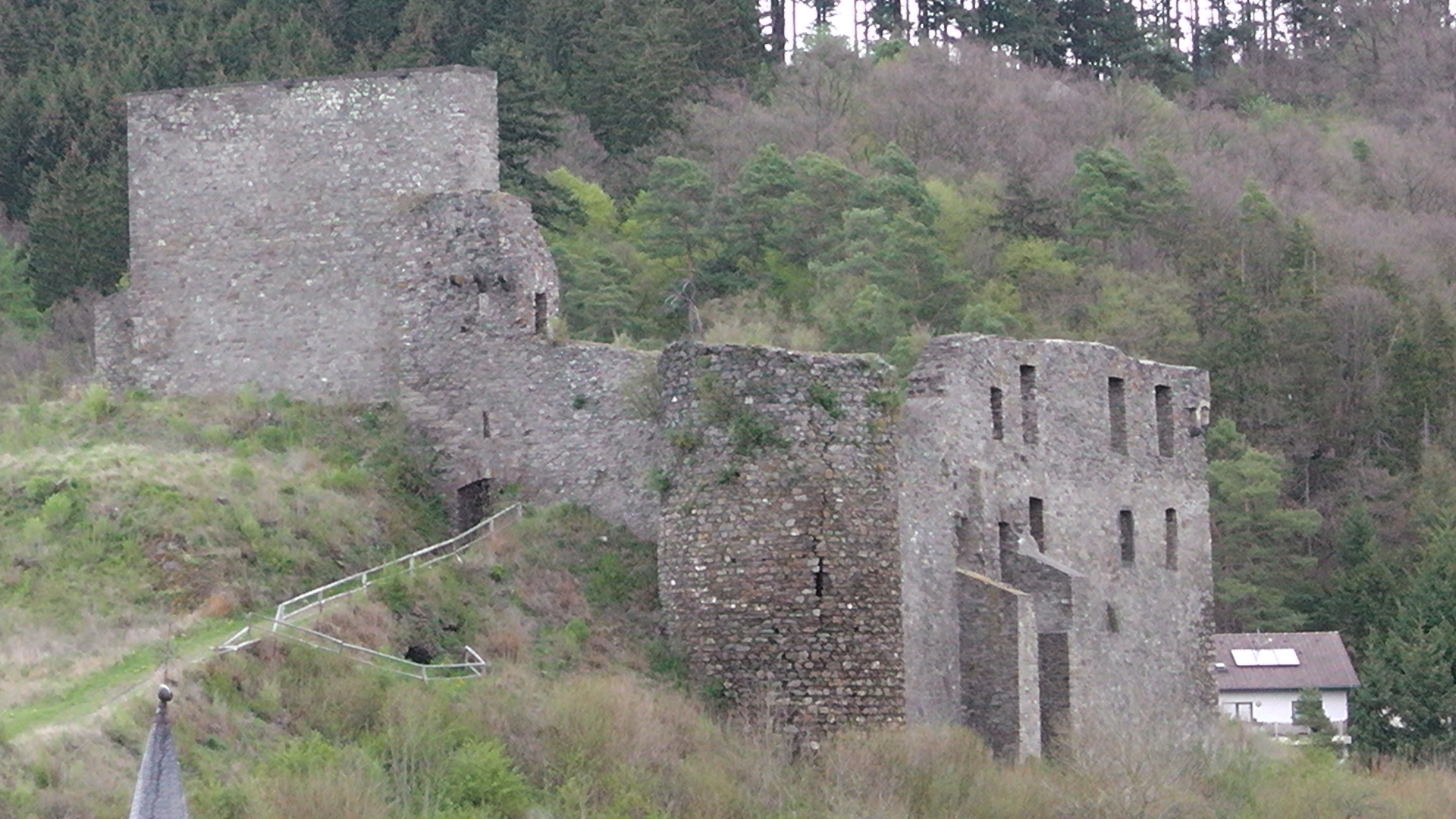 103-blick-auf-die-ruine-virneburg