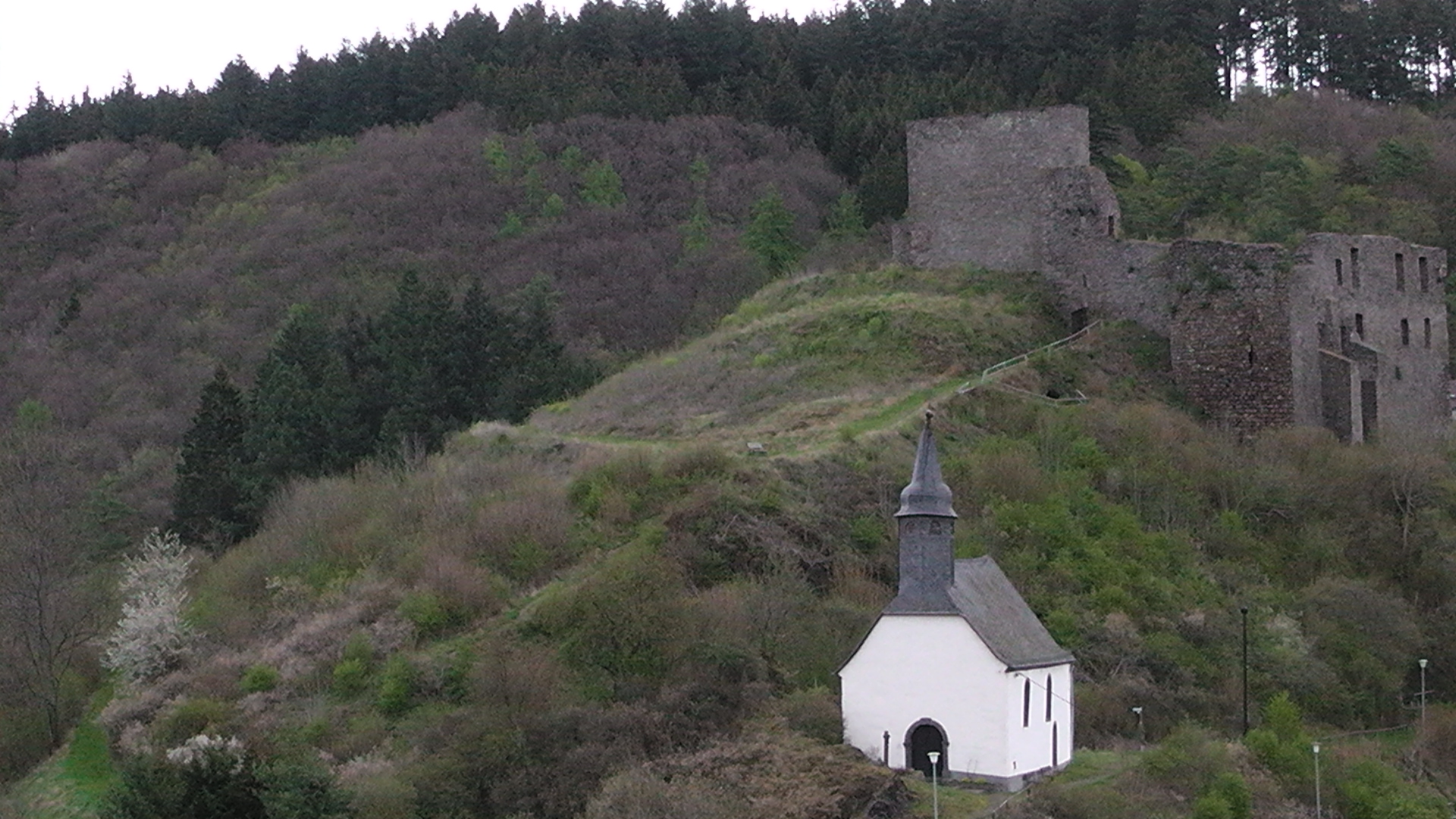 106-blick-auf-die-ruine-virneburg