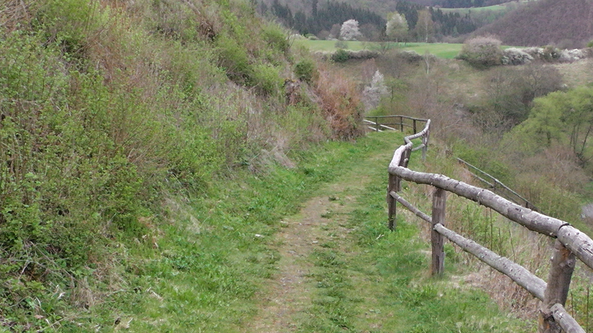 26-schoener-zaun