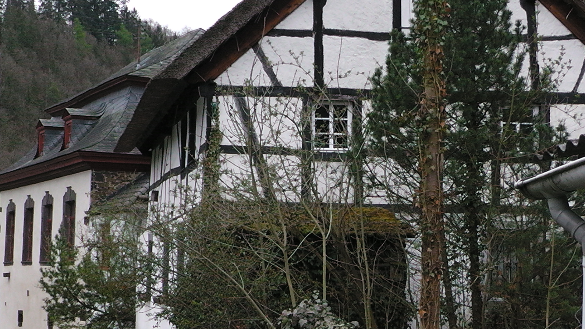 29-virneburg