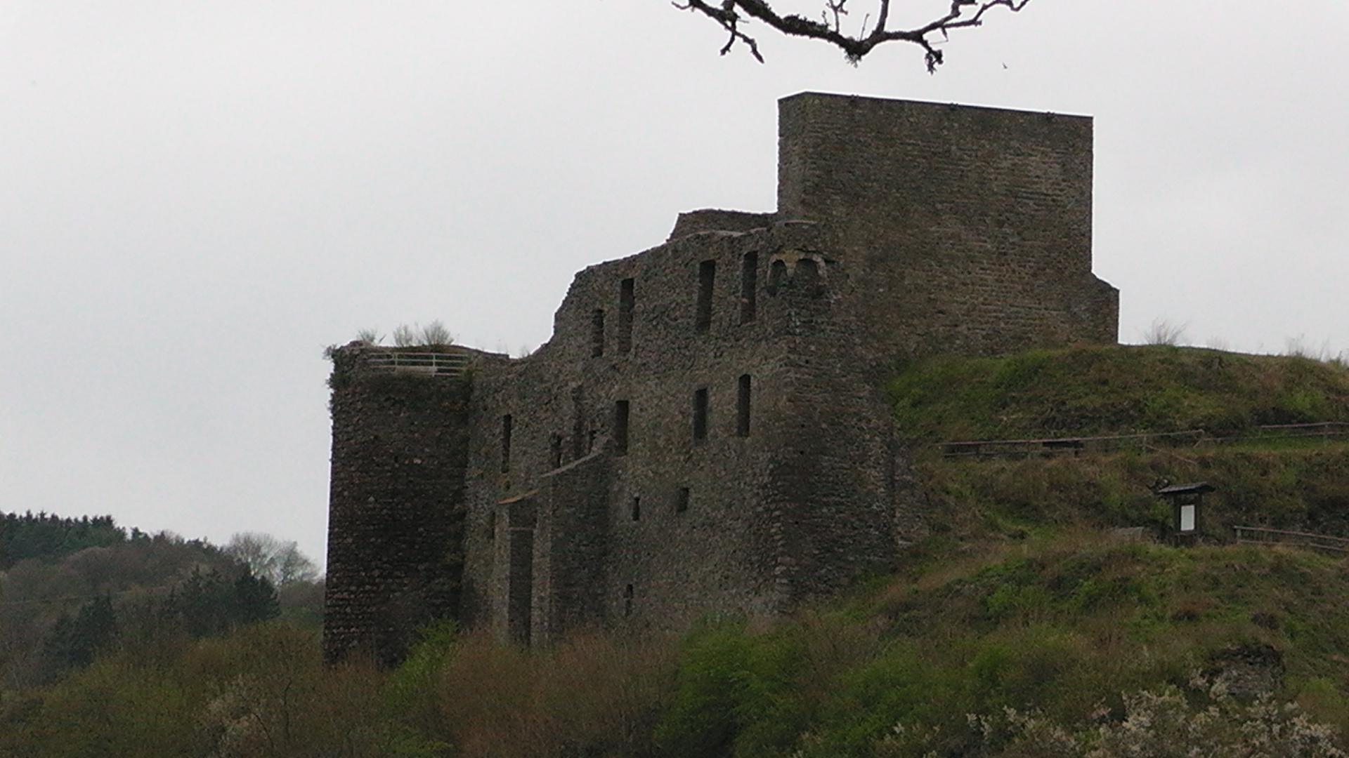30-die-burgruine-virneburg