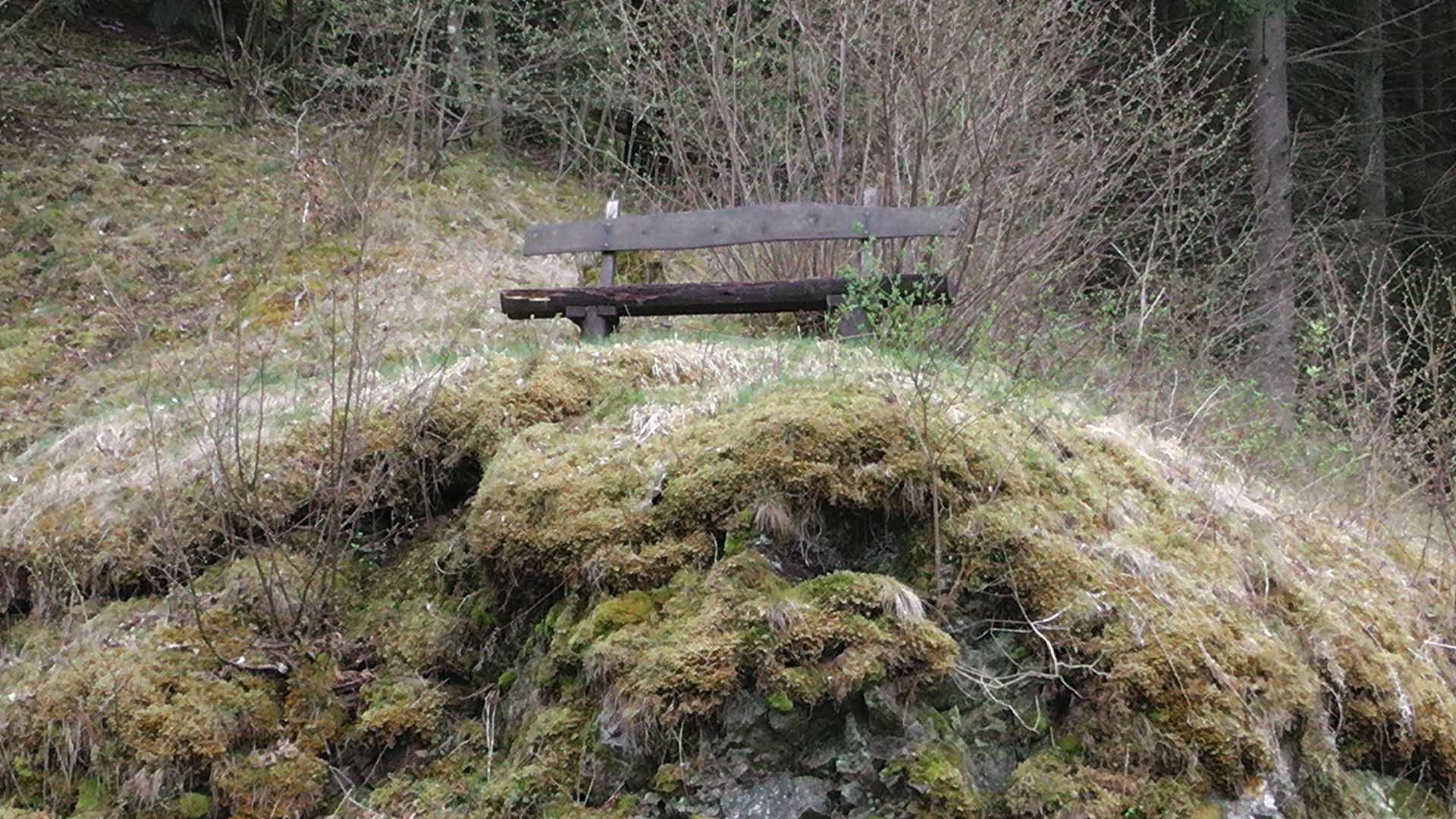 32-bank-am-waldweg