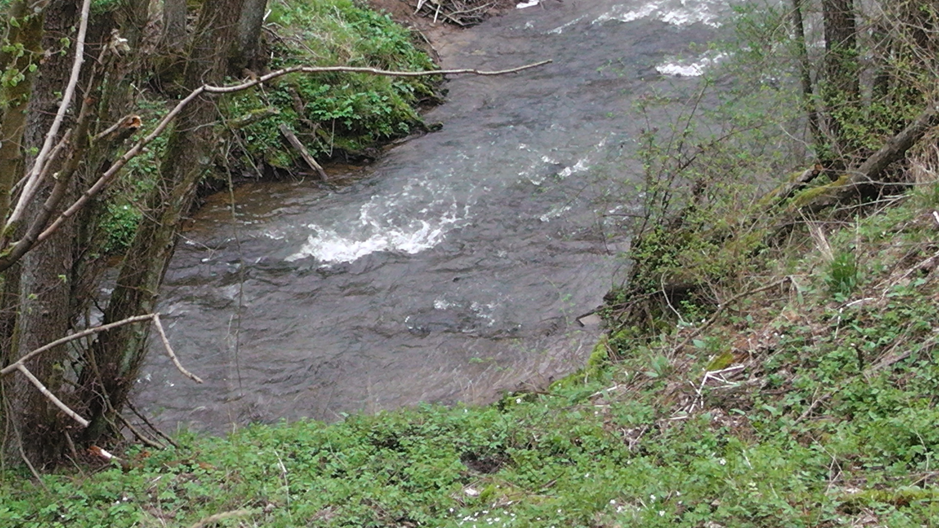 33-der-nitzbach