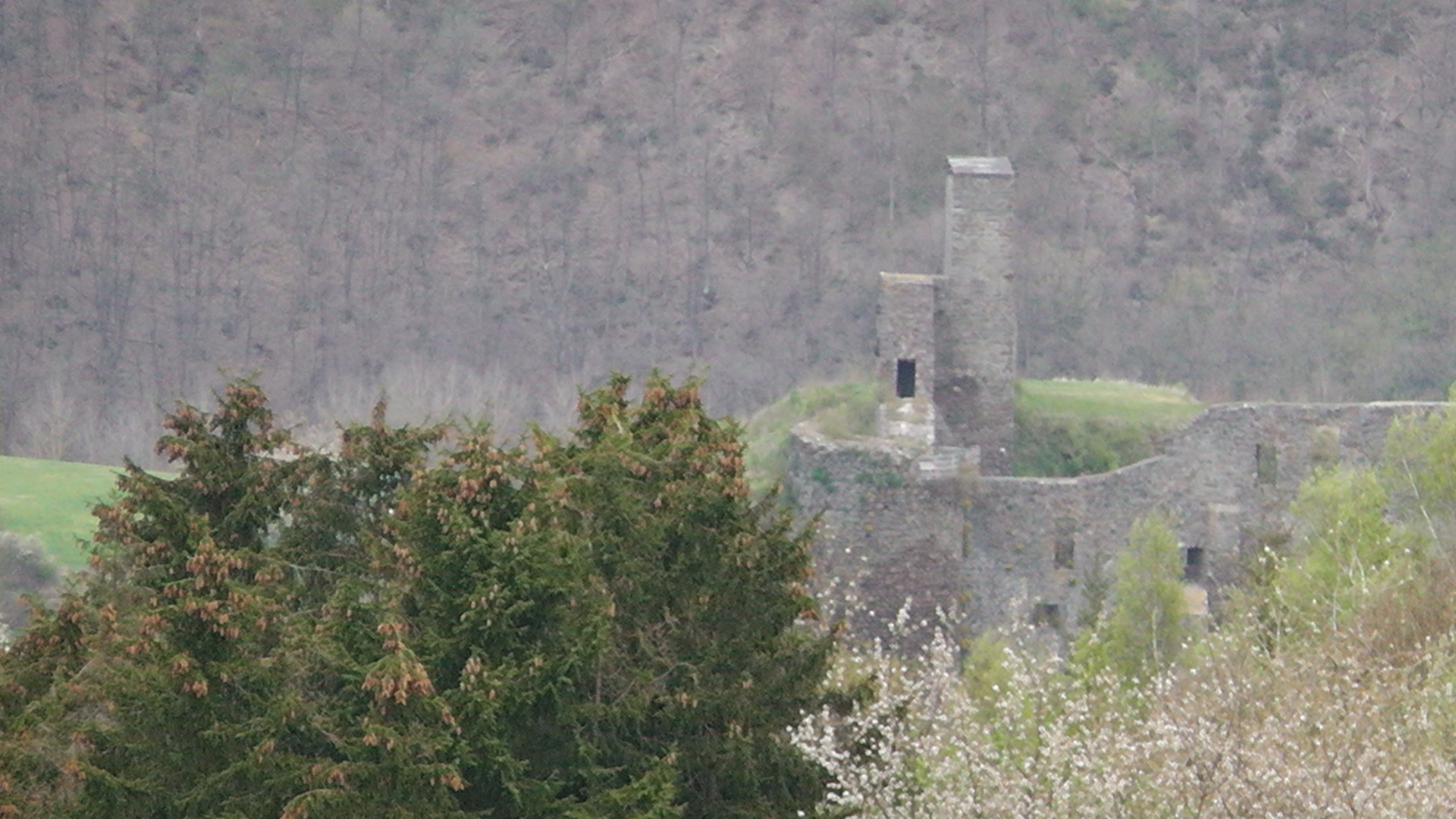 40-die-burgruine-virneburg
