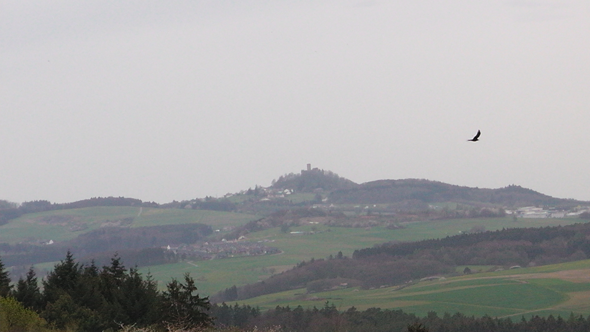 43-blick-auf-die-nrburg