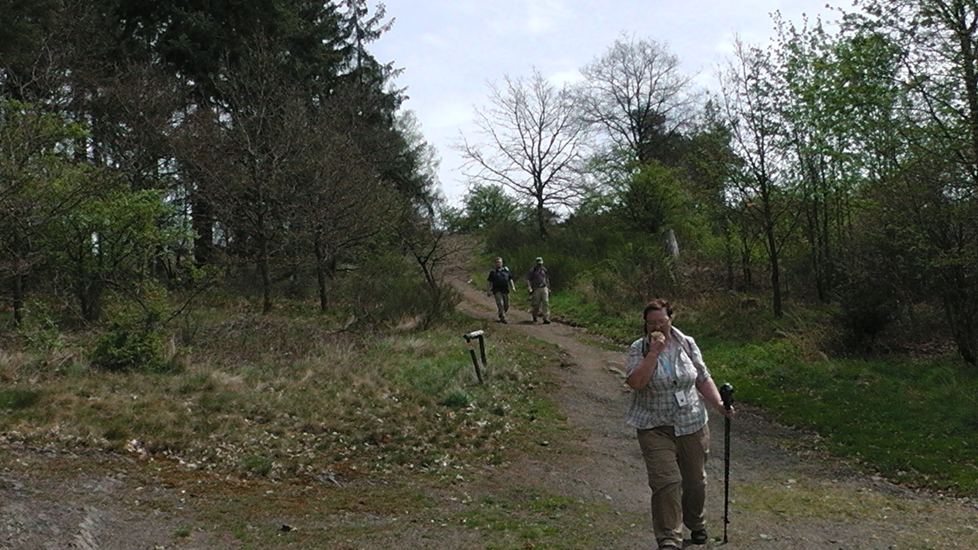 58-die-blumenrather-heide