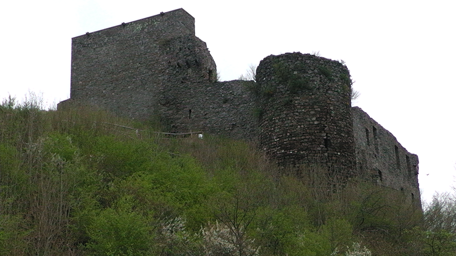6-die-burgruine-virneburg