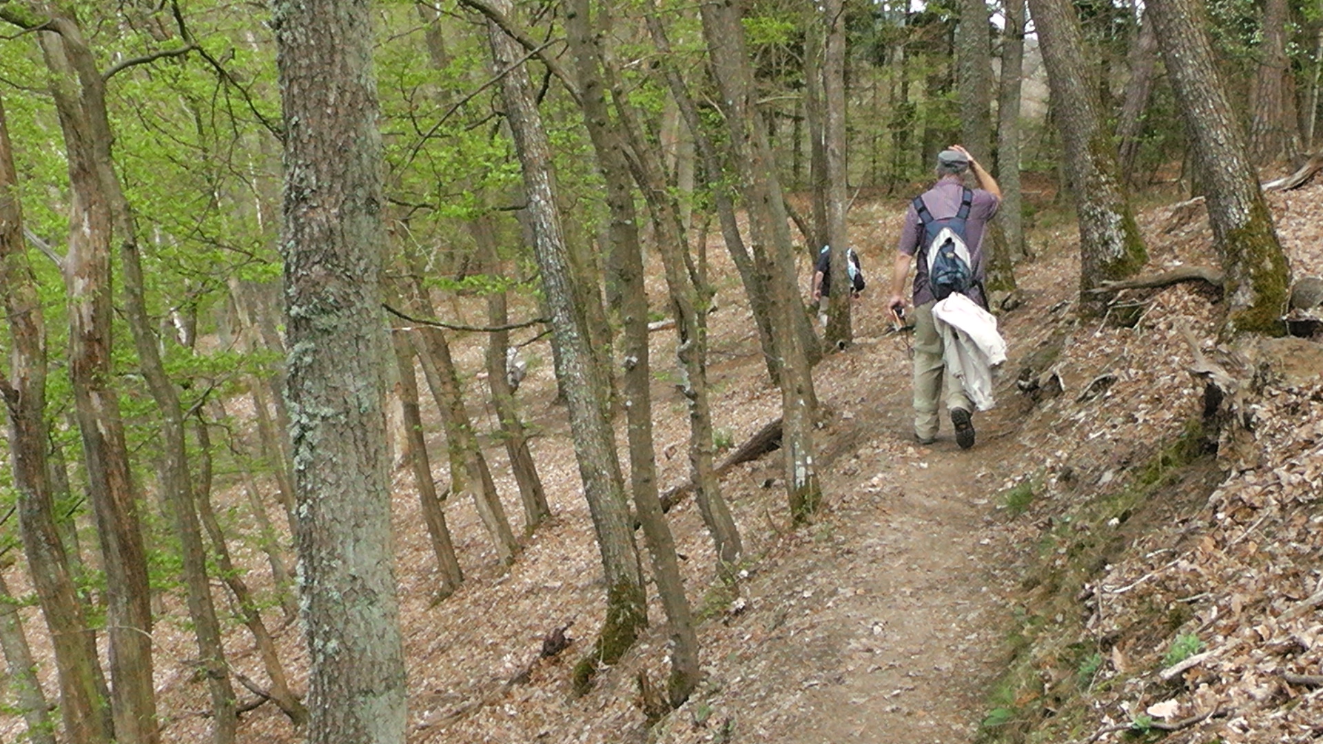 70-bergpfad