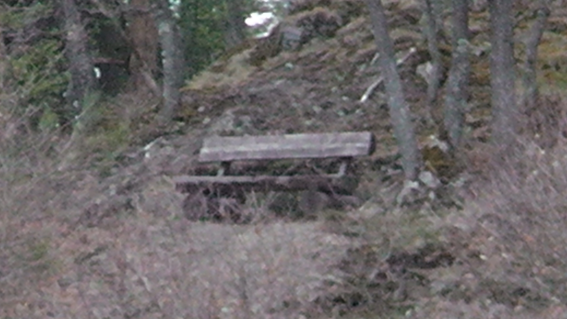 82-die-bank-von-gegenber