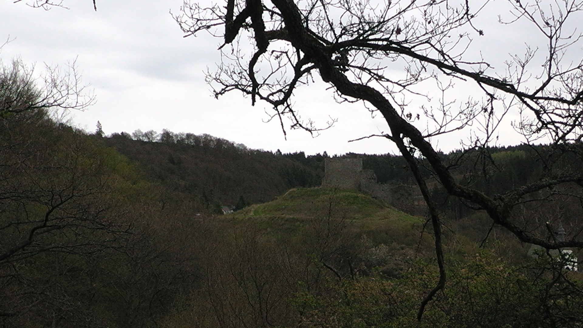 88-blick-auf-die-ruine-virneburg