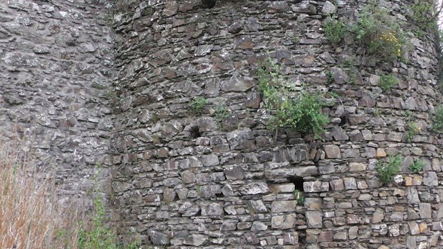 12-die-burgruine-virneburg