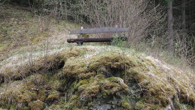 32-bank-am-waldweg