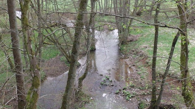 35-der-nitzbach