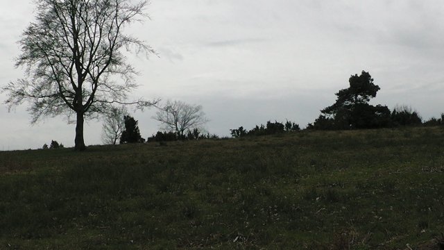 41-auf-dem-schafberg