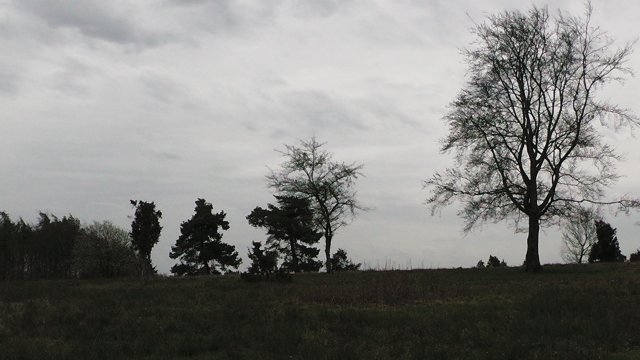 42-auf-dem-schafberg