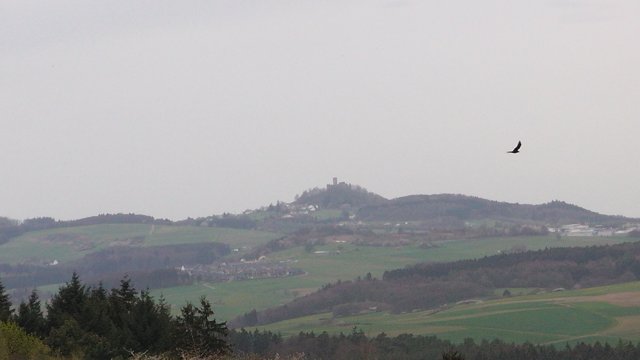 43-blick-auf-die-nrburg