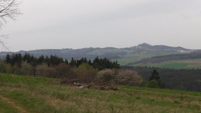 47-auf-dem-schafberg