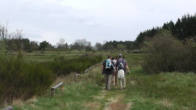 52-die-blumenrather-heide
